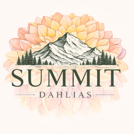 Summit Dahlias